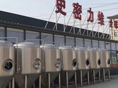 铜官精酿啤酒设备厂—如何判断精酿啤酒设备的密封件需要更换？